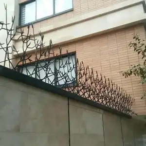 حفاظ اف آبشاری در رشت