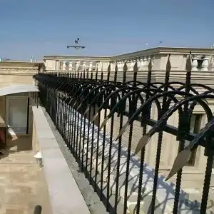 حفاظ سرنیزه ای در رشت