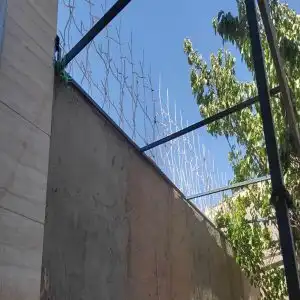 حفاظ شاخ گوزنی تراکم 22 اقتصادی در رشت