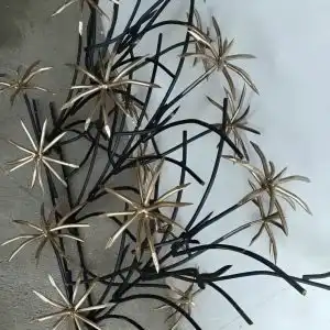 حفاظ نخل مرداب در رشت