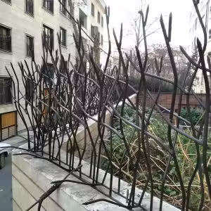 ساخت حفاظ شاخ گوزنی در رشت