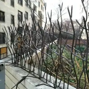 ساخت حفاظ شاخ گوزنی در رشت