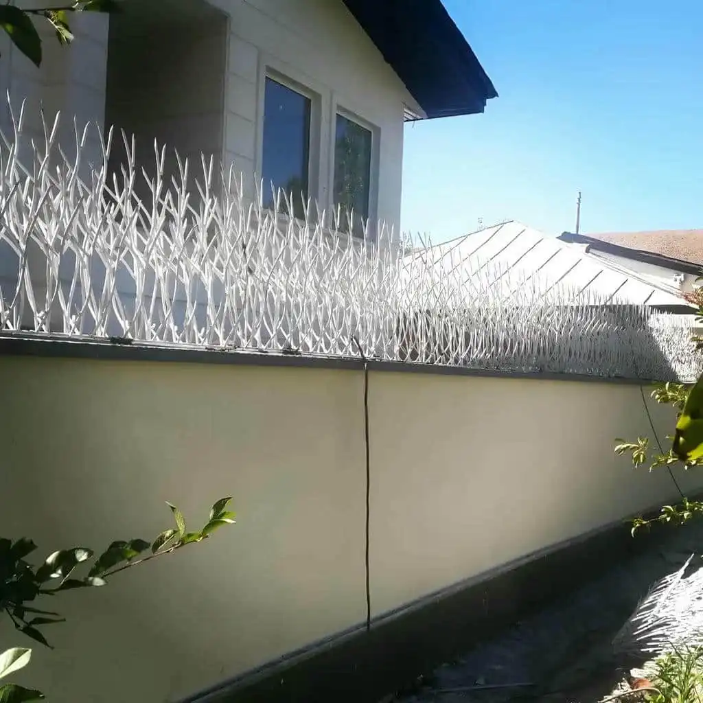 حفاظ شاخ گوزنی پر تراکم رشت