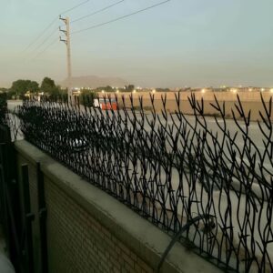 حفاظ بوته ای تراکم 67 در رشت