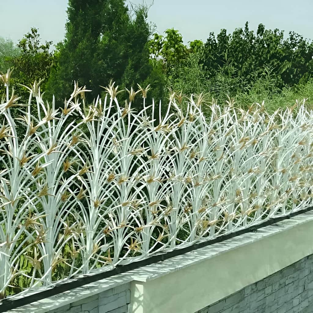 قیمت حفاظ لیلیوم رشت