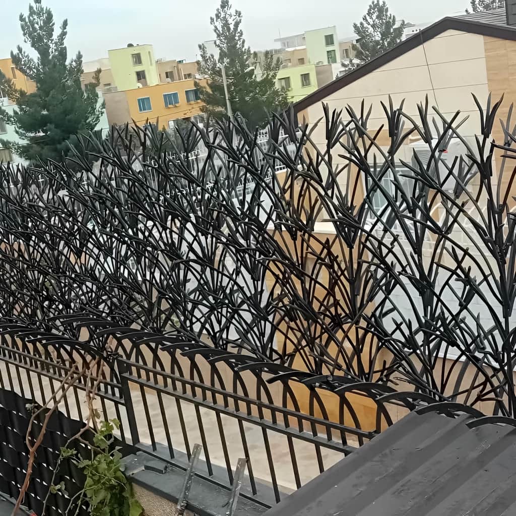 بررسی حفاظ لیلیوم در رشت