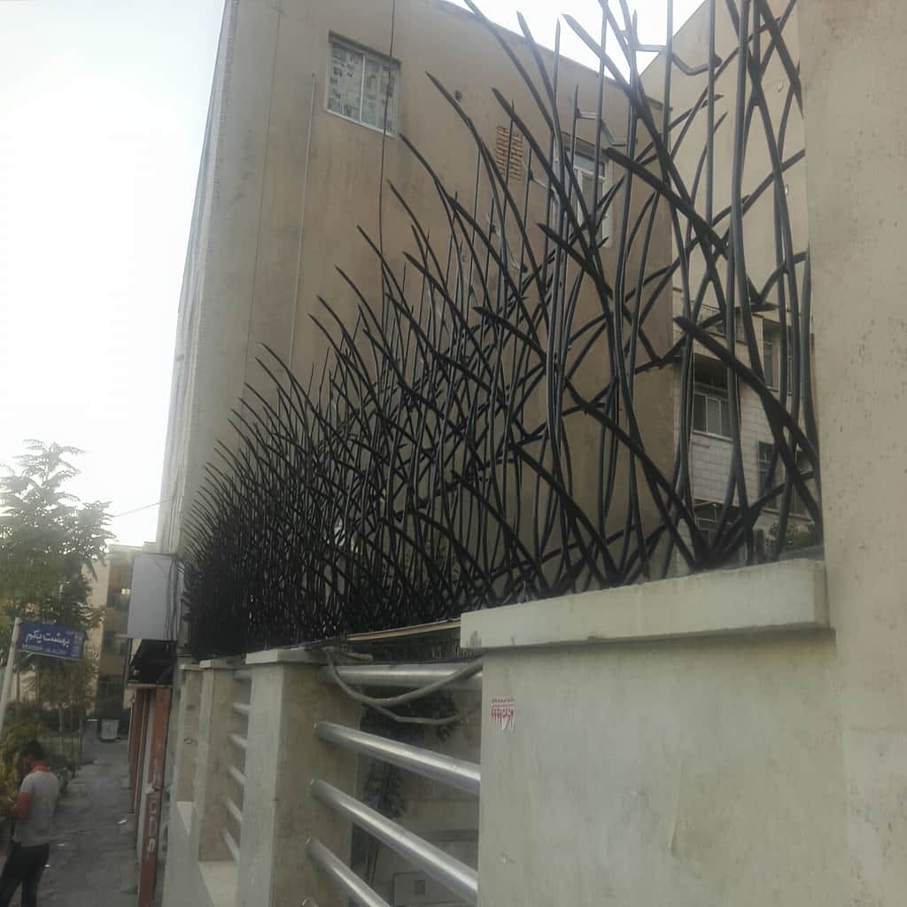 بررسی حفاظ نیزار در رشت