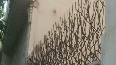 قیمت حفاظ شاخ گوزنی 90 و 120 سانتی در رشت