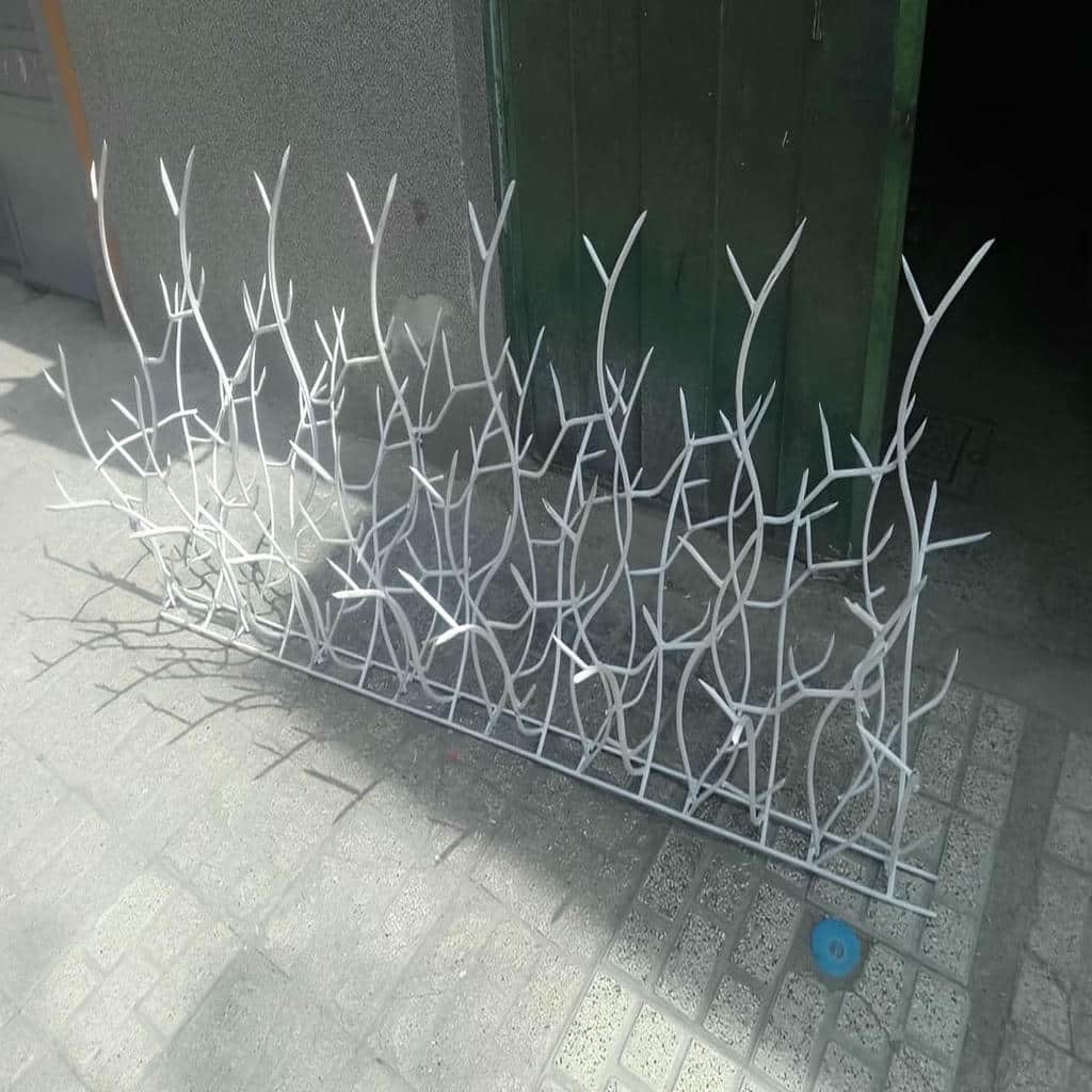 حفاظ شاخ گوزنی ارتفاع 90 در رشت