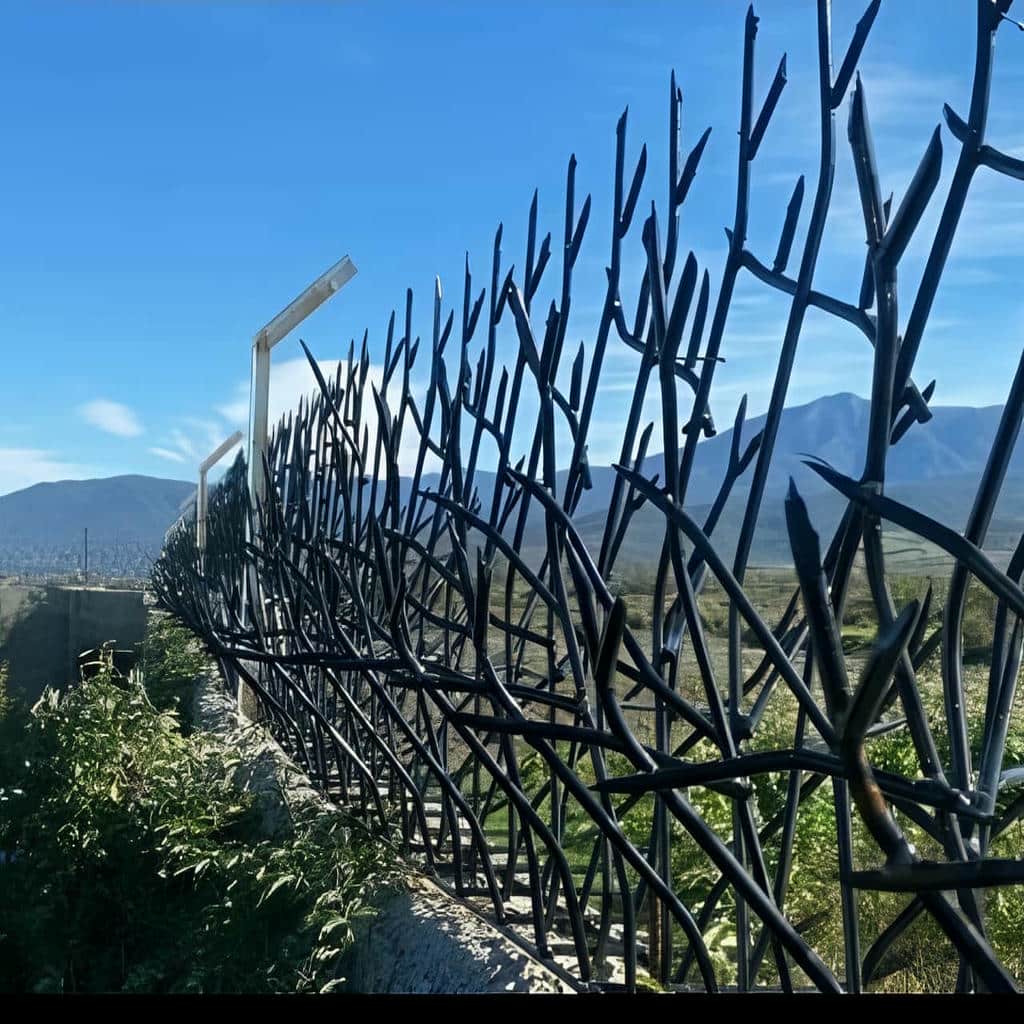 قیمت روز حفاظ شاخ گوزنی رشت