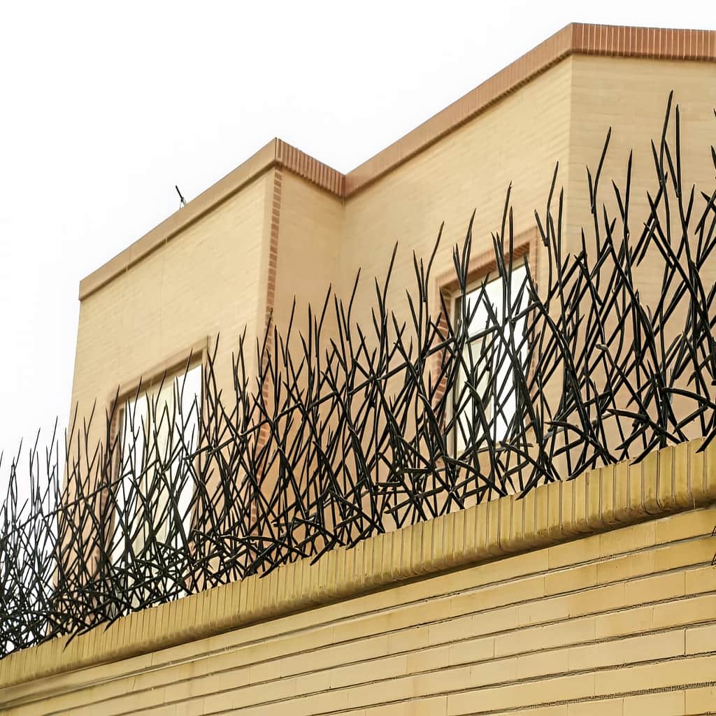 اجرای حفاظ بوته ای پرتراکم با تراکم متناسب در رشت اجرای حفاظ بوته ای پرتراکم با تراکم متناسب در رشت