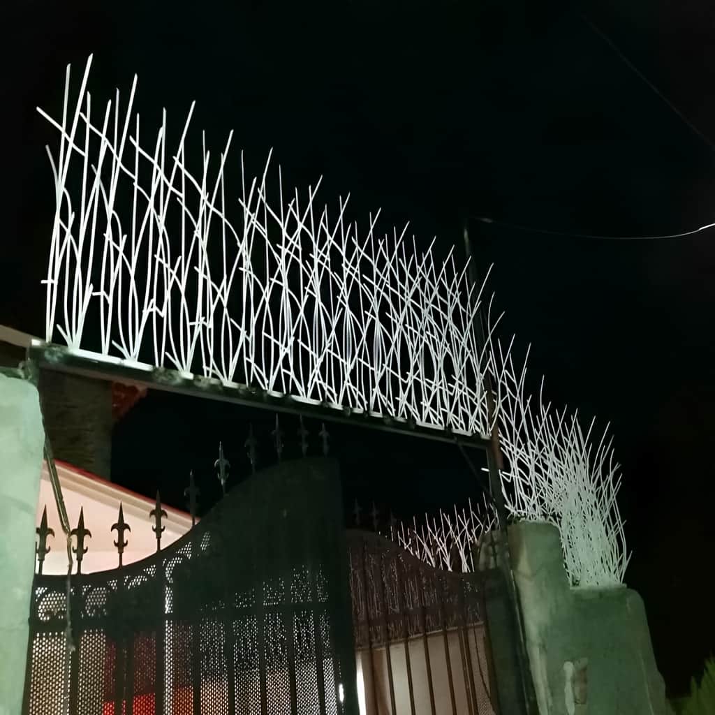 مدل متراکم حفاظ نیزار دیوار باغ در رشت