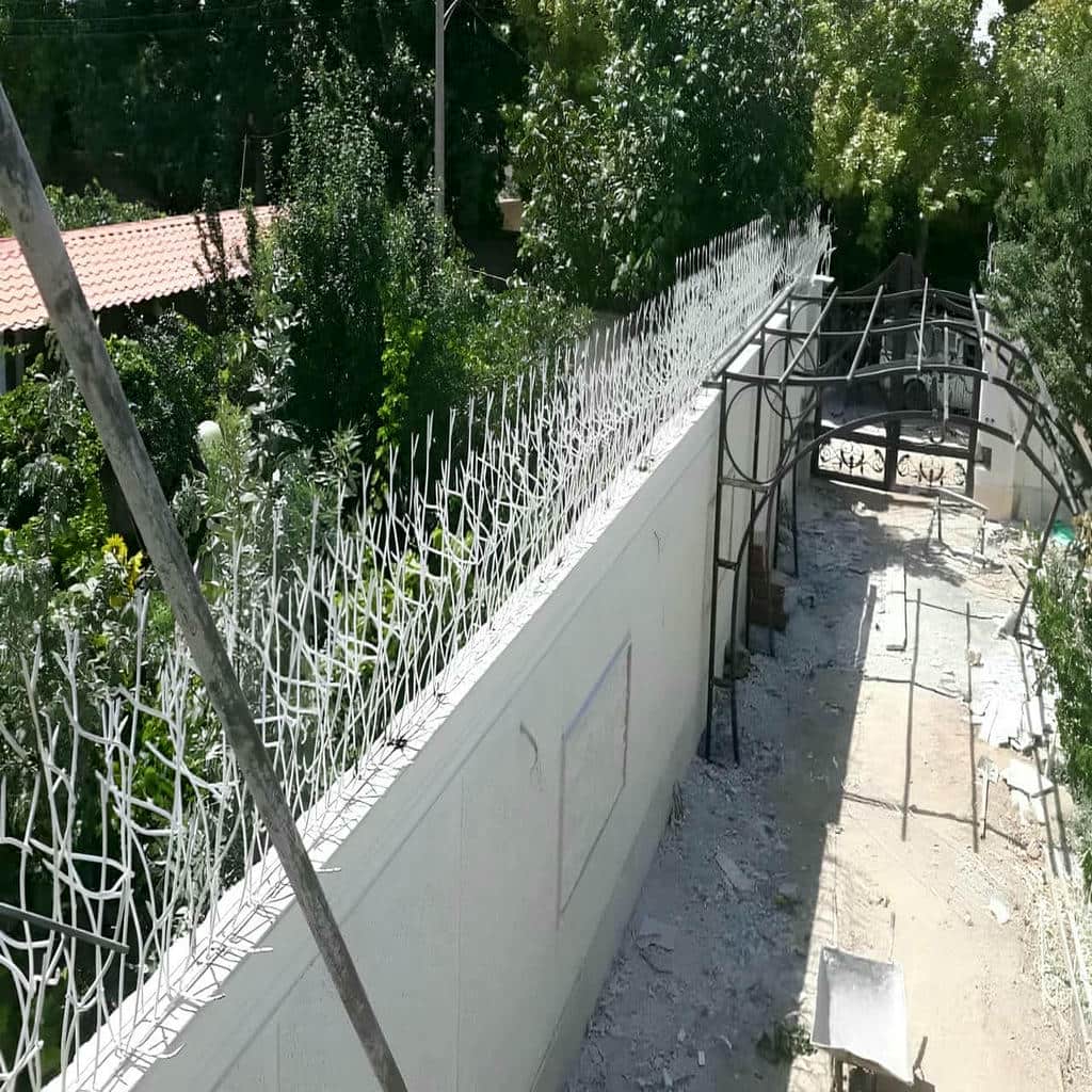 مدل متعادل حفاظ شاخ گوزنی پرتراکم امنیتی برای انتخاب در رشت