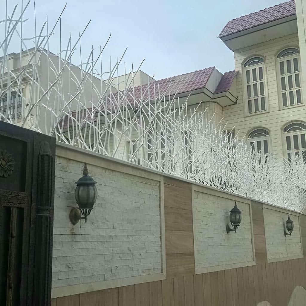 مدل بوته‌ای حفاظ دیوار شاخ گوزنی برای انتخاب در رشت