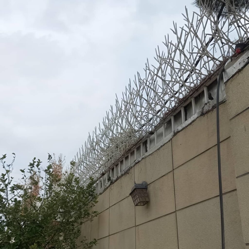 خرید حفاظ شاخ گوزنی دیوار باغ ویلا در رشت