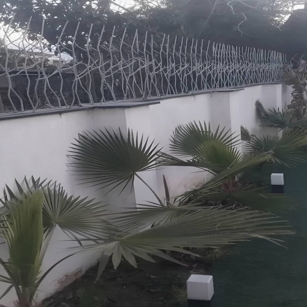 مدل کم‌عرض حفاظ شاخ گوزنی پرتراکم امنیتی در رشت