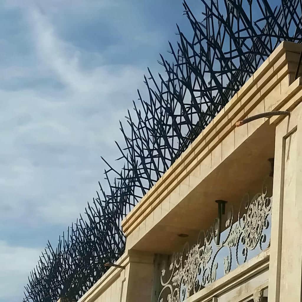 قیمت حفاظ شاخ گوزنی برای دیوار باغ در رشت قیمت حفاظ شاخ گوزنی برای دیوار باغ در رشت