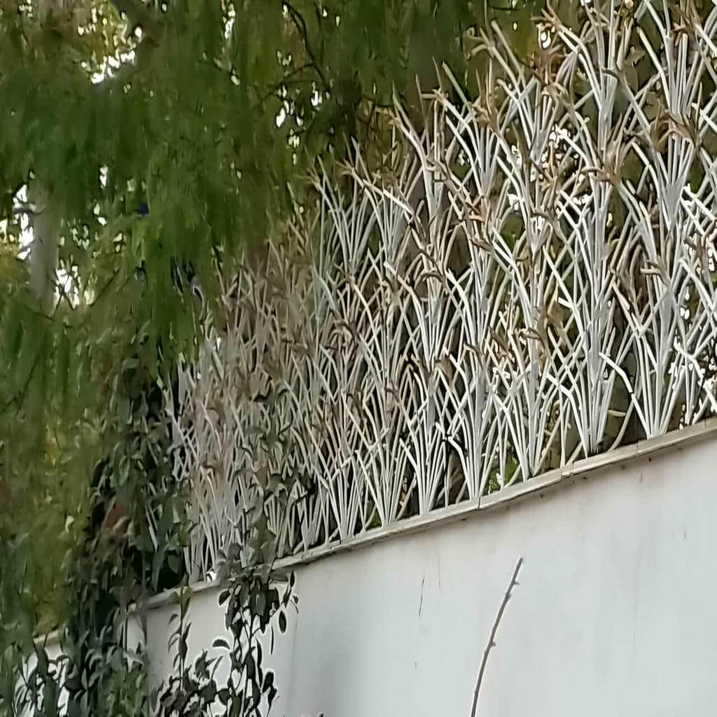 نمونه ظریف حفاظ لیلیوم دیوار لوکس ویلا در رشت