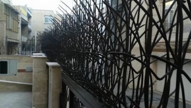14 مدل حفاظ نیزار دیوار باغ در رشت