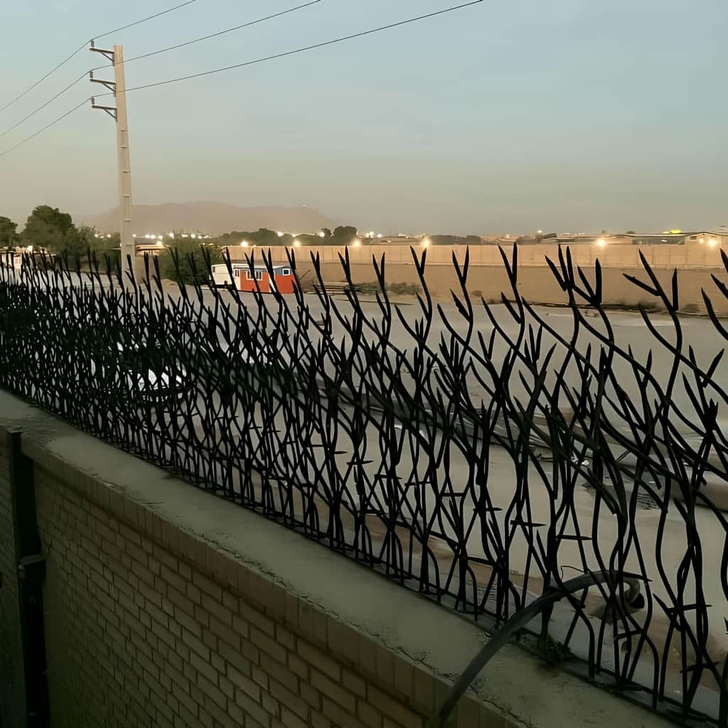 حفاظ بوته ای رشت کنار دیوار محوطه