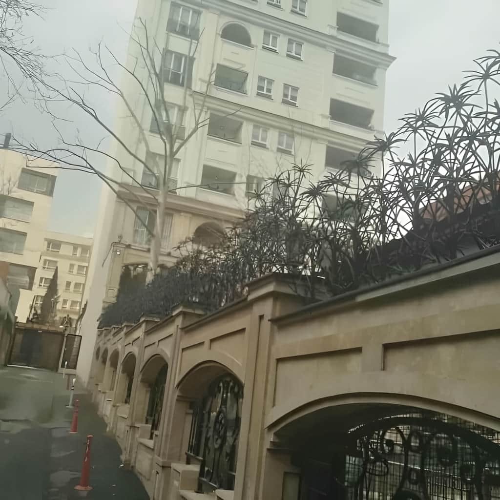 حفاظ نخل مرداب رشت با پوشش مقاوم بیرونی