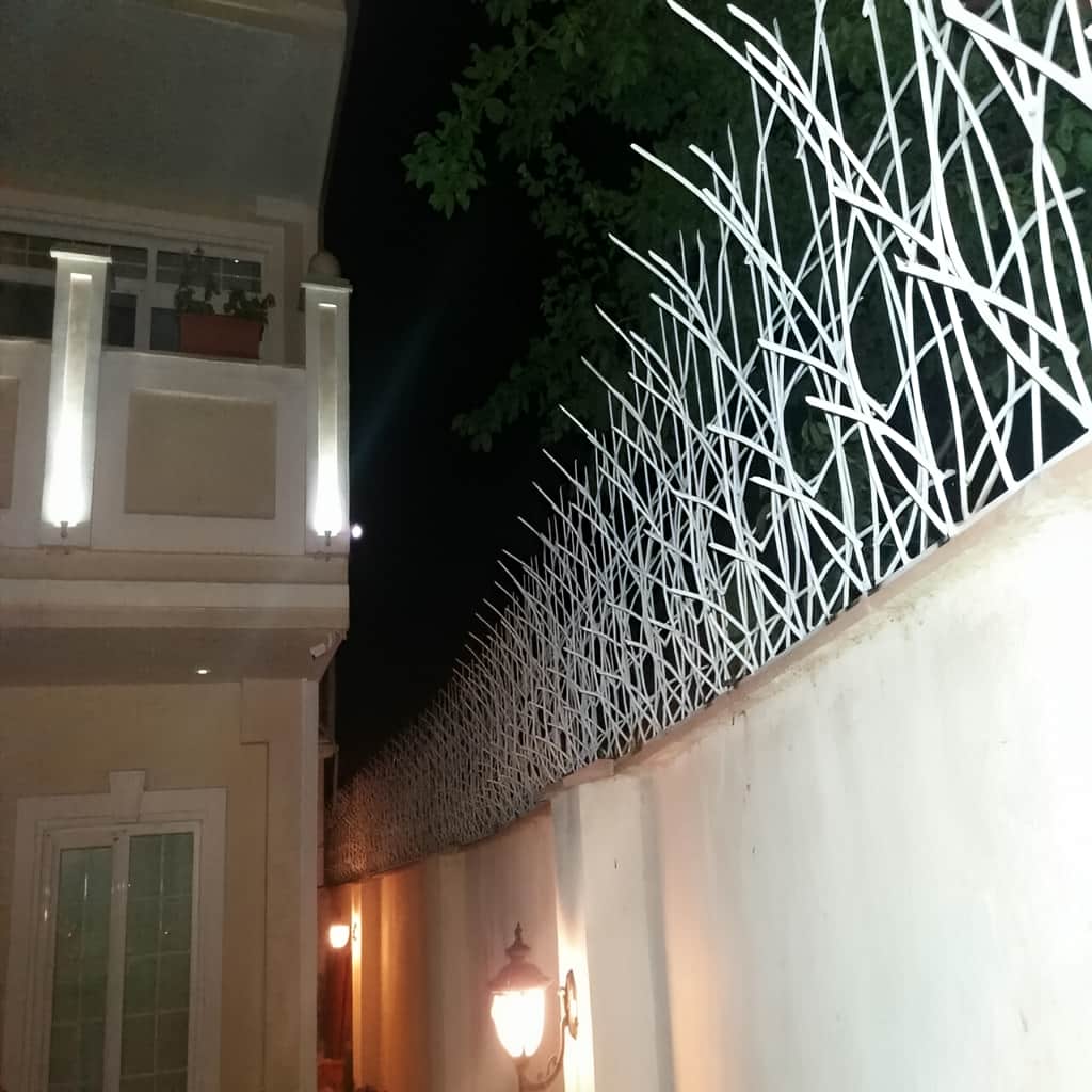 حفاظ نیزار رشت کنار نمای ساختمان ویلایی