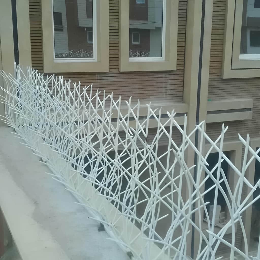 حفاظ نیزار رشت با پوشش رنگی متناسب دیوار