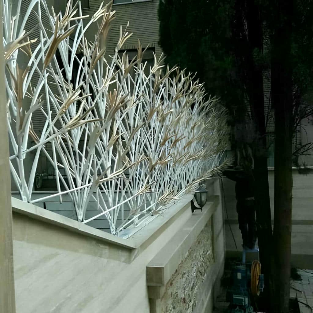 حفاظ شاخ گوزنی رشت نمای نزدیک شاخه ها