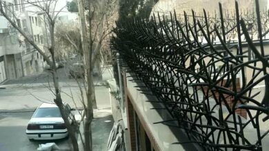حفاظ دیوار رشت با طرح شاخ گوزنی فلزی