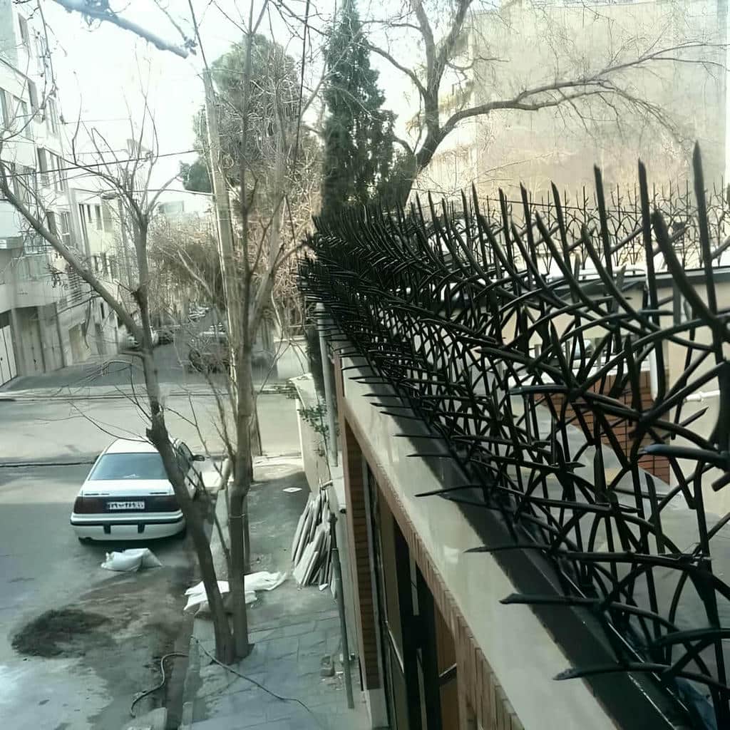 حفاظ دیوار رشت با طرح شاخ گوزنی فلزی