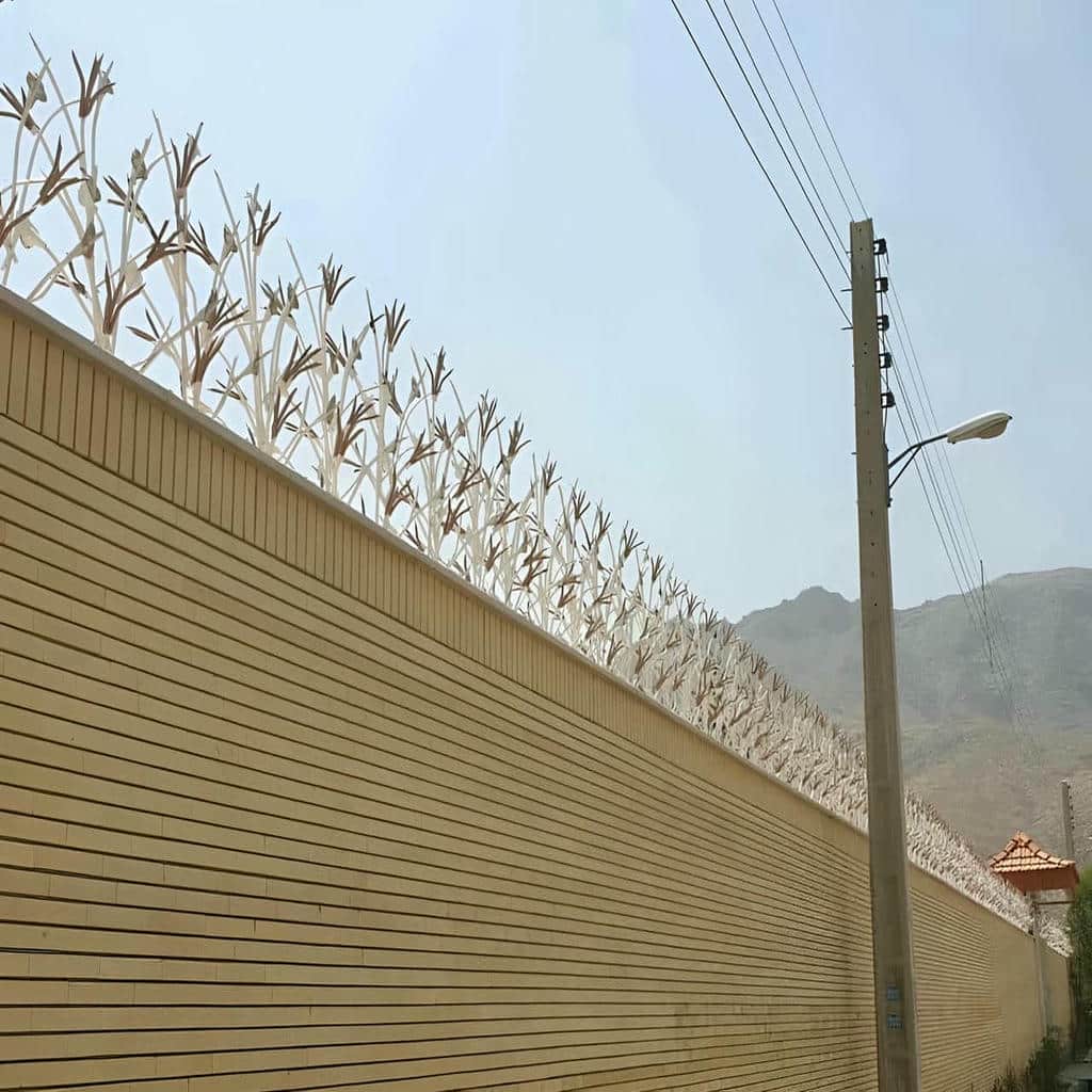 حفاظ سرنیزه ای رشت اجرای هماهنگ