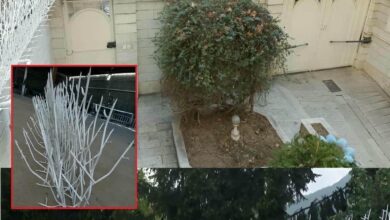 حفاظ شاخ گوزنی طرح f رشت رنگ مشکی