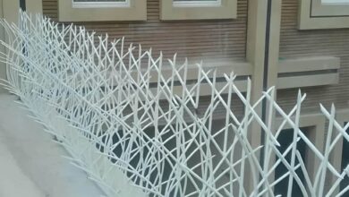 حفاظ نیزار رشت با پوشش رنگی متناسب دیوار